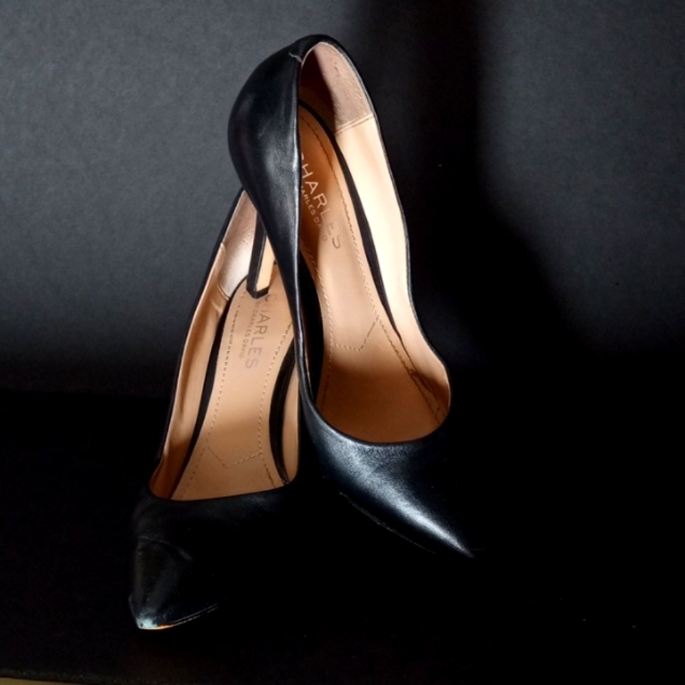 Charles David shoes